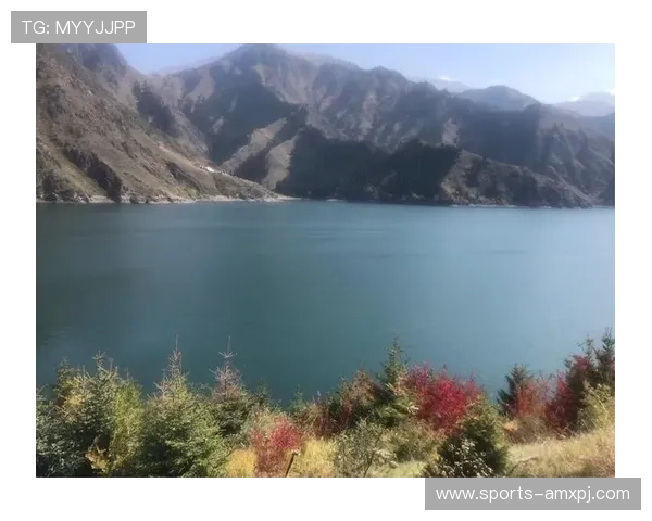 掌握葡萄京官方入口的详细操作流程，确保每次登录都能顺利进入游戏世界